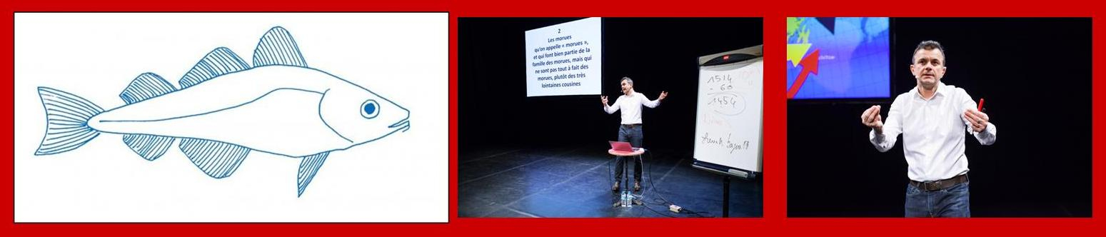 2026-04-11_De-la-morue